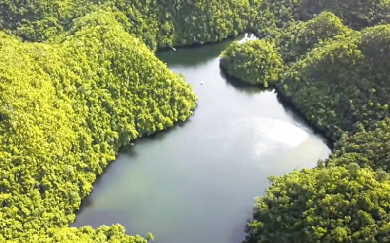 Siargao Escape(Tour L) : Private Island-Hopping Adventure - Key Points