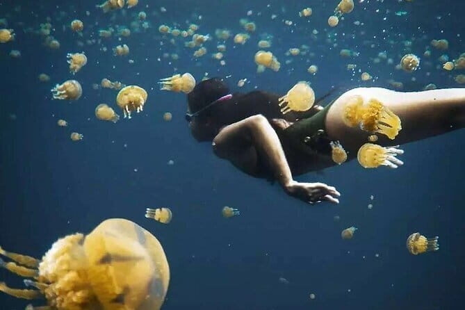 Siargao Private Sohoton Bucas Grande Tour with Lunch - A Deep Dive Into the Siargao Private Sohoton Bucas Grande Tour