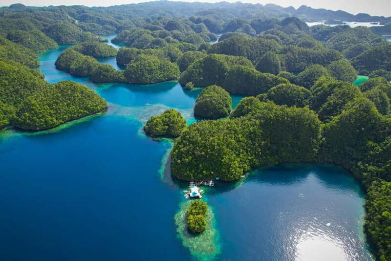 Siargao: Sohoton and Non-Sting Jellyfish Sanctuary Tour - Key Points