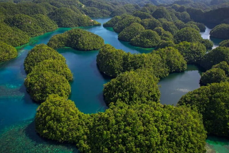 Siargao: Sohoton and Non-Sting Jellyfish Sanctuary Tour - How This Tour Compares & Why It’s Worth It