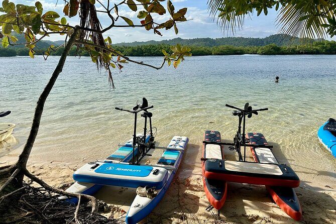 Siargao Sunset Paddle Board and Firefly Watching - Siargao Sunset Paddle Board and Firefly Watching Tour: A Natural Showcase of Calm and Sparkle