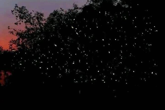 Siargao Sunset Paddle Board and Firefly Watching - FAQ