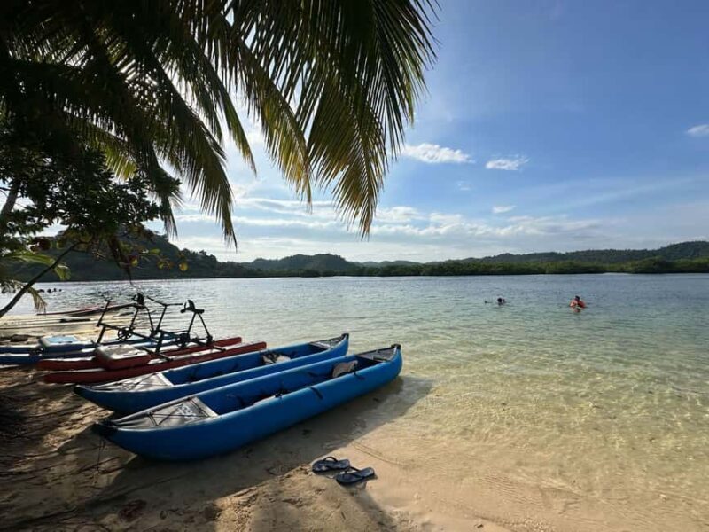 Siargao: Sunset Paddle Boarding and Firefly Watching Tour - Who Would Love This Tour?