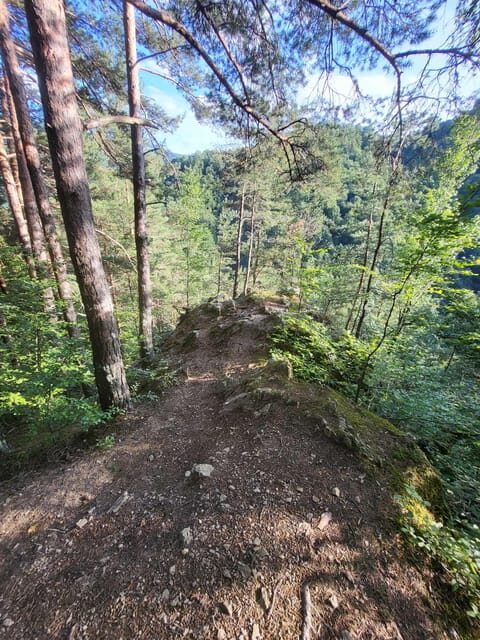 Sibiu: Cindrel Mountains Hike with Traditional Brunch - Why This Tour Is Special