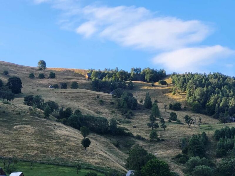 Sibiu: Cindrel Mountains Hike with Traditional Brunch - Practical Details and Tips