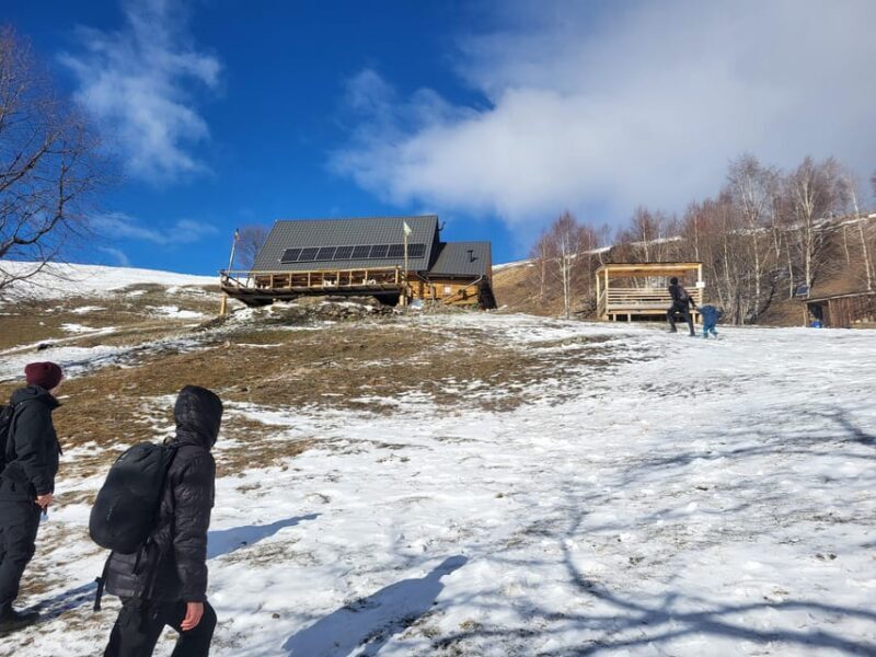 Sibiu: Cindrel Mountains Hike with Traditional Brunch - Authentic Experiences and Traveler Feedback