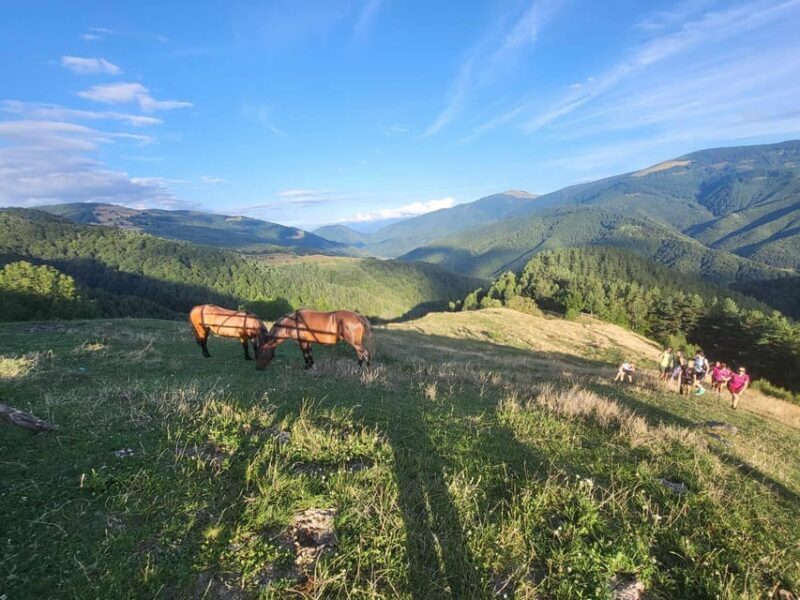 Sibiu: Cindrel Mountains Hike with Traditional Brunch - Who Is This Tour Best Suited For?