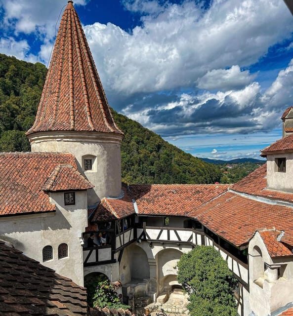Sibiu: Dracula's Castle and Dino Park Day Trip - Pricing and Value