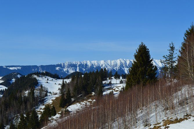 Sibiu to Bucharest - Private Guided Transfer - Car and Driver - The Bottom Line