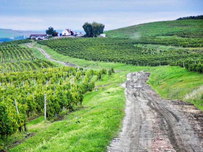 Sibiu & wine tasting tour (from Cluj) - Key Points