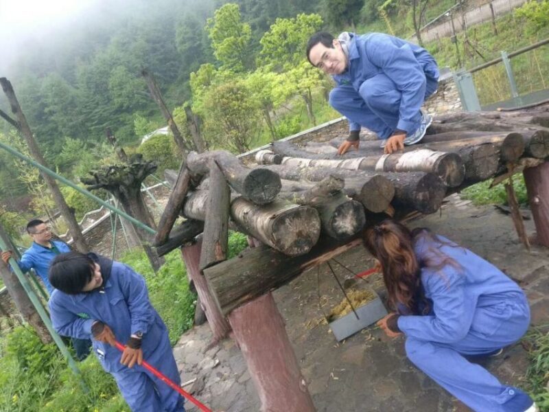 Sichuan: Big Panda Volunteer Day tour - What Does the Tour Entail?