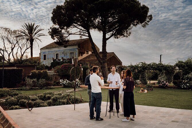 Sicilian Lunch with Wine Tasting - A Complete Look at the Sicilian Lunch with Wine Tasting