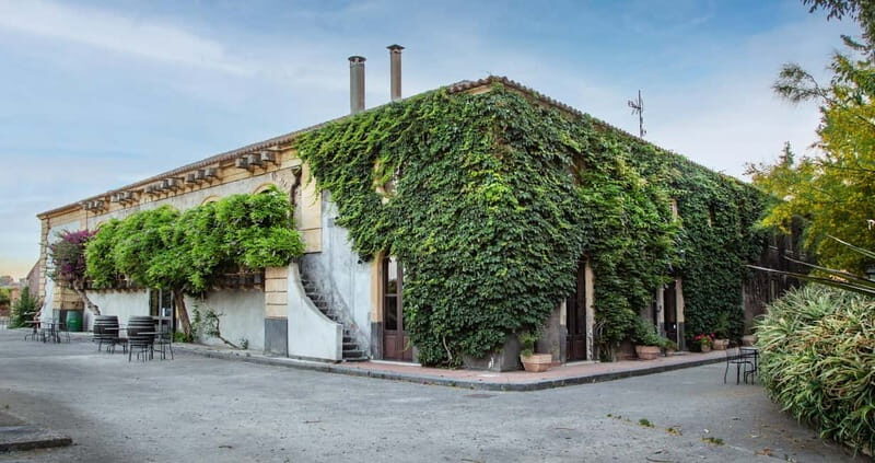 Sicilian Soul: Winery Tour, Wine & Food Tasting in Catania - Key Points