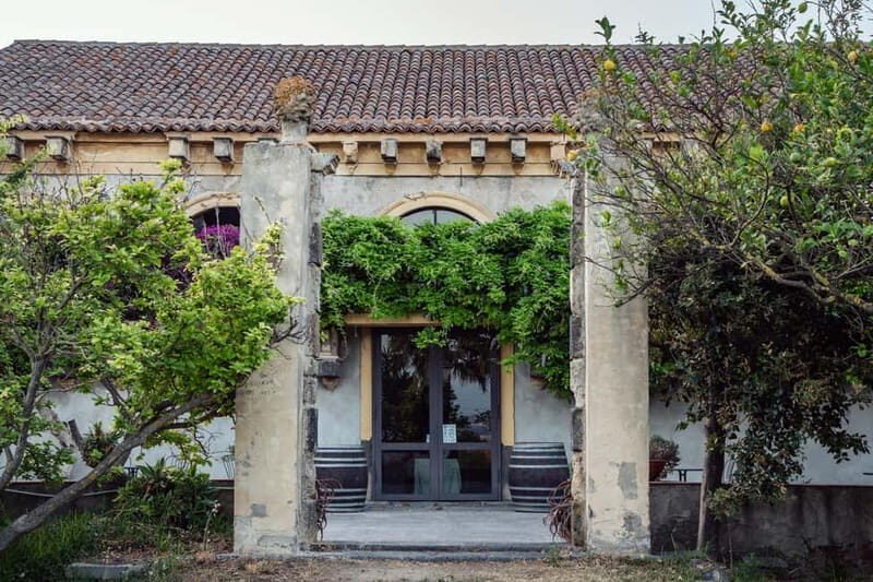 Sicilian Soul: Winery Tour, Wine & Food Tasting in Catania - A Closer Look at the Experience