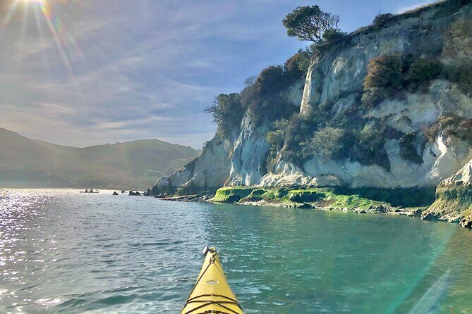 Sick Day Midweek Kayak Tour on Tomales Bay - An Authentic Water Adventure at Point Reyes