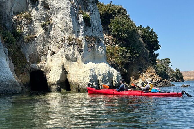 Sick Day Midweek Kayak Tour on Tomales Bay - Key Points