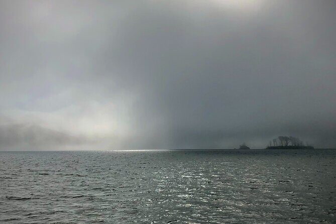 Sick Day Midweek Kayak Tour on Tomales Bay - Who Will Love This Tour?