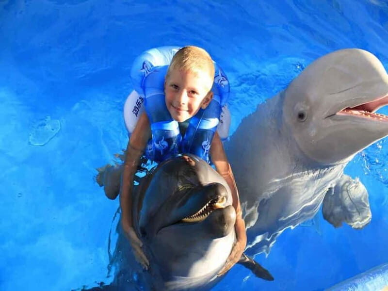 Side/Alanya: Swimming with Dolphins and Dolphin Show - The Value for Money
