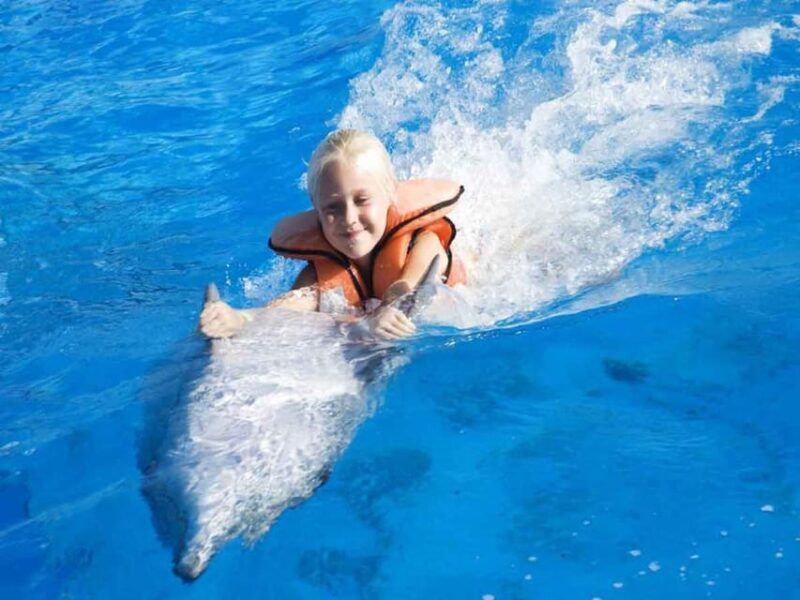 Side/Alanya: Swimming with Dolphins and Dolphin Show - Final Thoughts