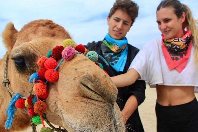 Side by Side and Camel COMBO Adventure - Experience the Baja Adventure: Side by Side and Camel COMBO
