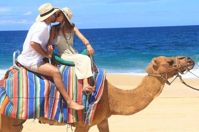 Side by Side and Camel COMBO Adventure - The Practicality and Value of the Tour