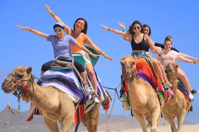 Side by Side and Camel COMBO Adventure - Who Should Book This Tour?