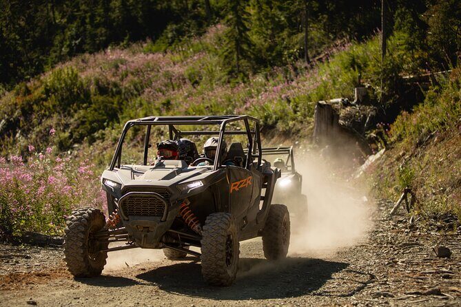 Side-by-Side Off-Roading Adventures on Cougar Mountain - Practical Tips and Considerations