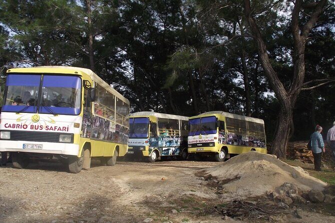 Side Cabrio Bus Tour With Green Lake And Manavgat Waterfall - A Thorough Look at the Tour Experience