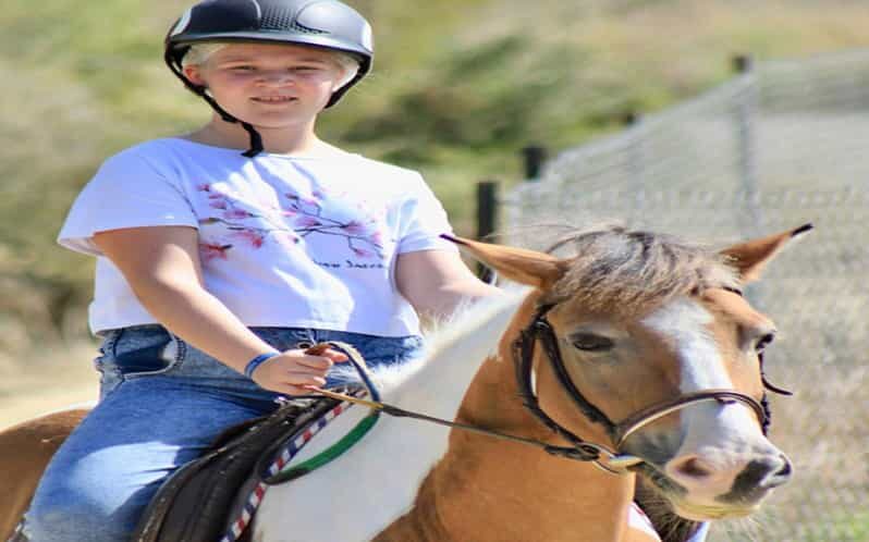 Side: Horse Safari Tour - Who Should Consider This Tour?