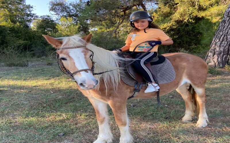 Side: Horse Safari Tour - FAQ