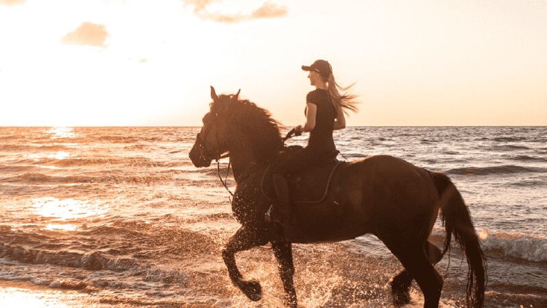 Side: Horseback Riding Tour in Nature with Transfer - An Authentic Ride Through Nature and History