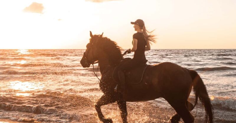 Side: Horseback Riding Tour in Nature with Transfer - The Experience and Authenticity