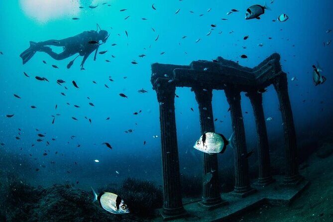Side Scuba Diving Adventure with Lunch & Roundtrip Transfer - Authentic Feedback and Insights
