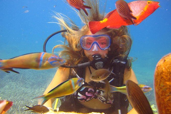 Side: Scuba Diving Under Water Museum - Diving into the Details: What You Can Expect