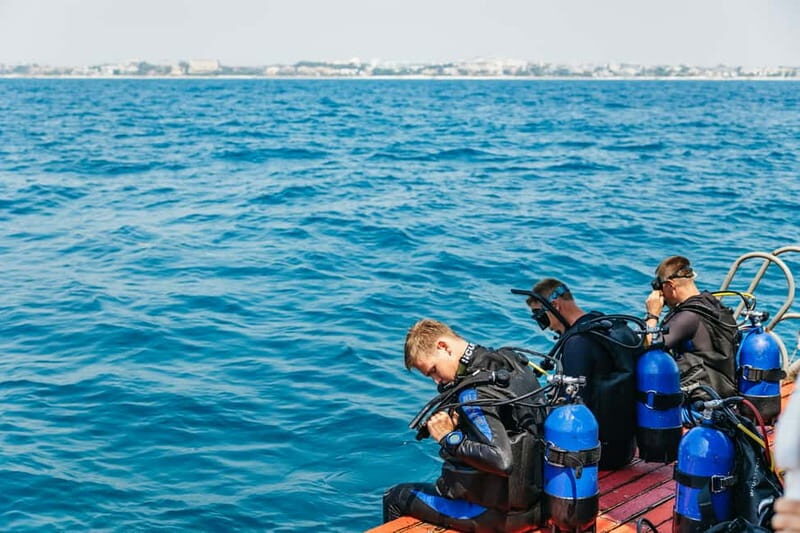 Side: Scuba Diving, Underwater Museum, 2 Dives incl. Lunch - What the Tour Includes and What to Keep in Mind