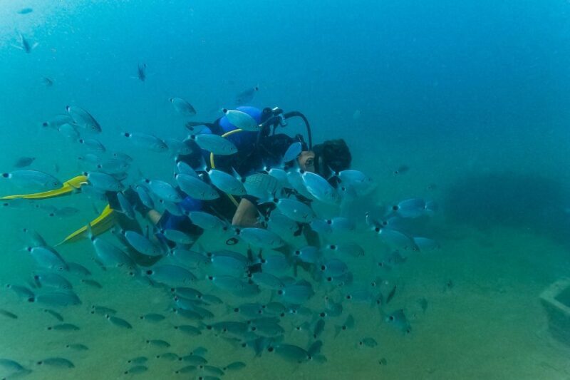 Side: Scuba Diving, Underwater Museum, 2 Dives incl. Lunch - FAQ