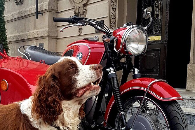 Sidecar Tours Belgrade - What to Expect from the Experience