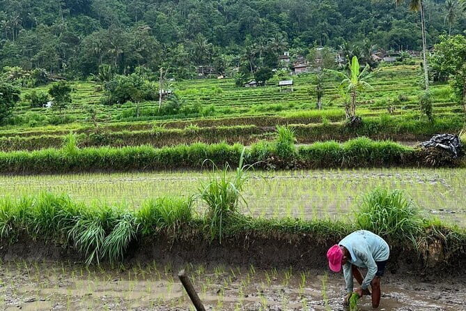 Sidemen Highlights Day Tour - Why This Tour Offers Great Value