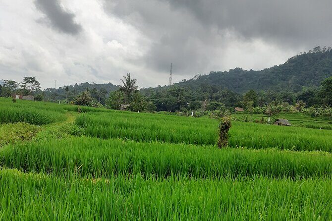 Sidemen Scooter Tours - A Closer Look at What to Expect