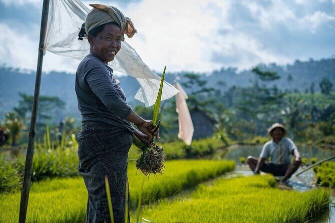 Sidemen Trekking: A Walk from Different Perspective - Who Would Enjoy This Tour?