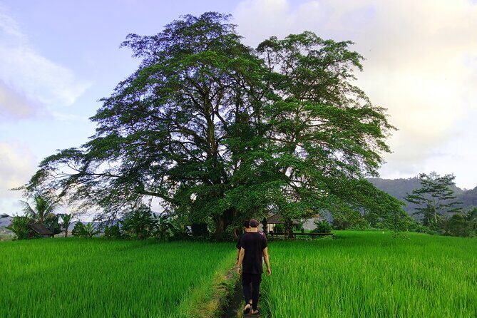 Sidemen Trekking with Cultural Encounters and Nature Views - Exploring Bali’s Hidden Gem: The Sidemen Trekking Experience