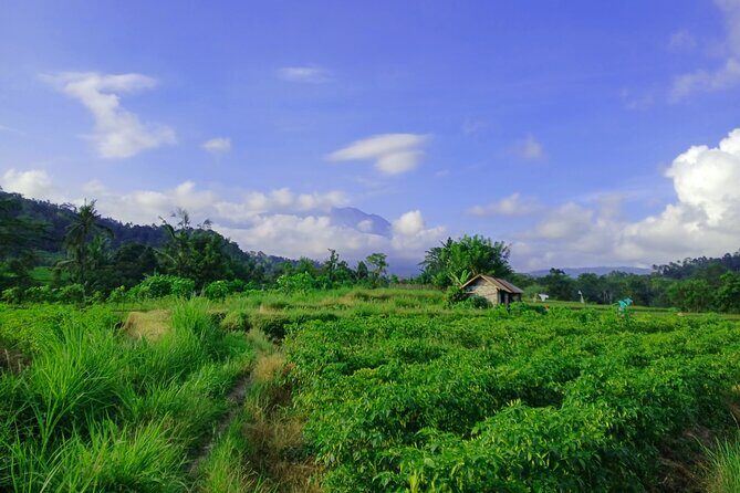 Sidemen Trekking with Cultural Encounters and Nature Views - Final Thoughts: Is It Worth It?