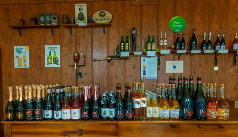 Sidra Vda. de Angelón: guided visit to a cider mill with tasting - Exploring the Heart of Asturias Cider Culture