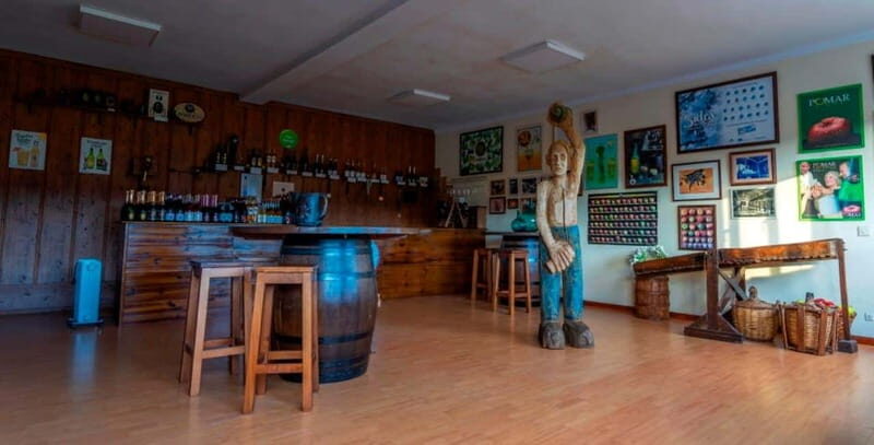 Sidra Vda. de Angelón: guided visit to a cider mill with tasting - Who Should Take This Tour?