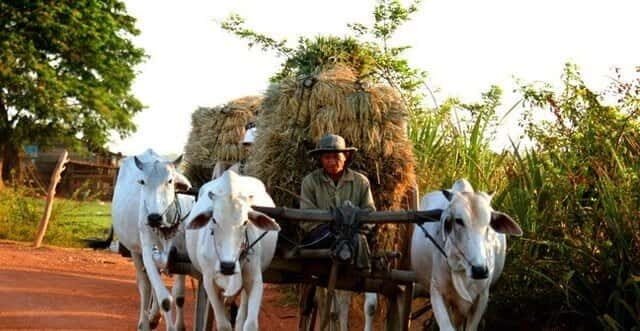 Siem Reap: 3-Hour Ancient Trails Motorbike Tour - Exploring the Itinerary in Detail