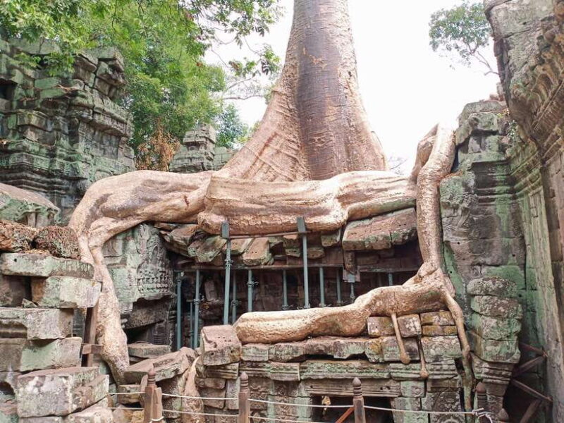 Siem Reap: 4 Hour-Ta Prohm and Banteay Kdei Guided Tour - The Details of the Siem Reap: 4-Hour Temples Tour