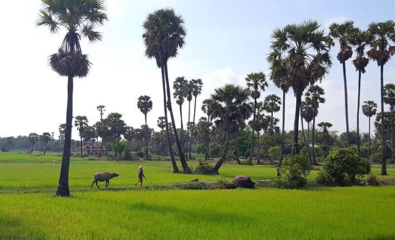Siem Reap: 6-Hour Easy Rider Motorbike Tour - Final Thoughts