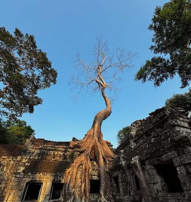 Siem Reap: Angkor 1-Day Private Tour with Sunset or Sunrise - An In-Depth Review of the Angkor 1-Day Private Tour