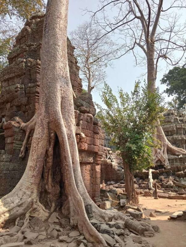Siem Reap: Angkor Full-Day Group Tour with Japanese Guide - An In-Depth Look at the Tour Experience