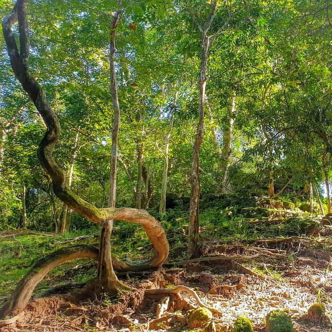 Siem Reap: Angkor Temples Off the beaten track Photo Trip - An In-Depth Look at the Experience